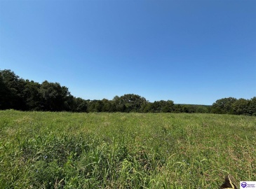 Highway 401, Hudson, Kentucky 40145, ,2 BathroomsBathrooms,For Sale,Highway 401,HK24003006