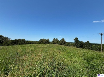 Highway 401, Hudson, Kentucky 40145, ,2 BathroomsBathrooms,For Sale,Highway 401,HK24003006