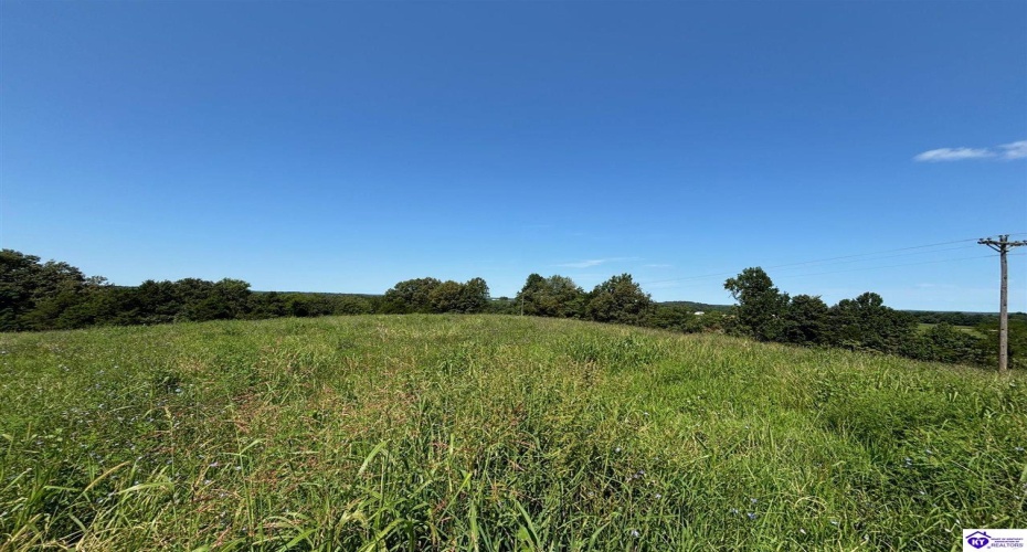 Highway 401, Hudson, Kentucky 40145, ,2 BathroomsBathrooms,For Sale,Highway 401,HK24003006