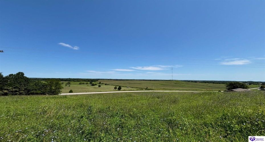 Highway 401, Hudson, Kentucky 40145, ,2 BathroomsBathrooms,For Sale,Highway 401,HK24003006