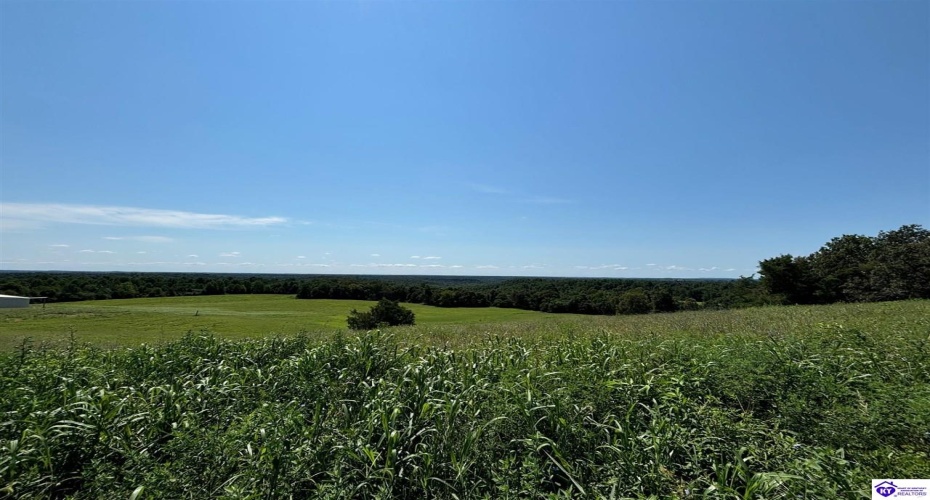 Highway 401, Hudson, Kentucky 40145, ,2 BathroomsBathrooms,For Sale,Highway 401,HK24003006