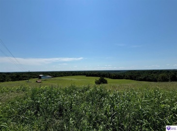 Highway 401, Hudson, Kentucky 40145, ,2 BathroomsBathrooms,For Sale,Highway 401,HK24003006