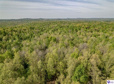 Die Shiboley Church Road, Magnolia, Kentucky 42757, ,For Sale,Die Shiboley Church Road,HK24003015