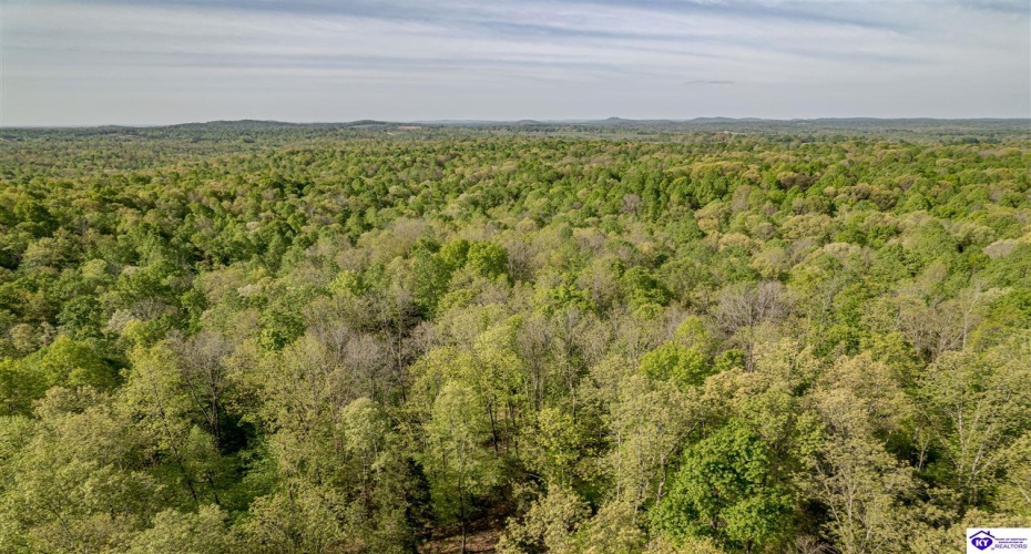 Die Shiboley Church Road, Magnolia, Kentucky 42757, ,For Sale,Die Shiboley Church Road,HK24003015