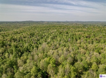 Die Shiboley Church Road, Magnolia, Kentucky 42757, ,For Sale,Die Shiboley Church Road,HK24003015