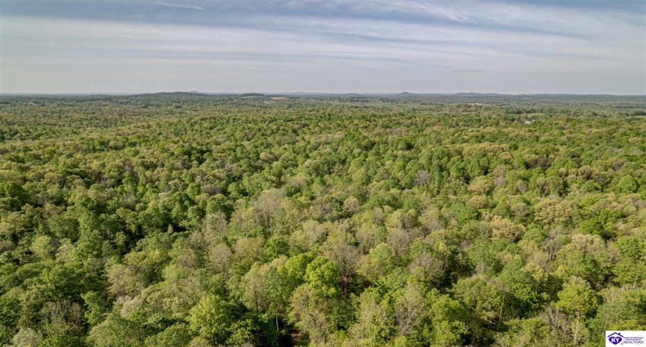 Die Shiboley Church Road, Magnolia, Kentucky 42757, ,For Sale,Die Shiboley Church Road,HK24003015