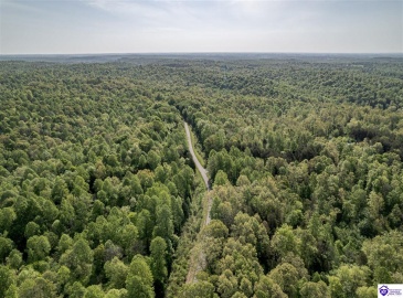 Die Shiboley Church Road, Magnolia, Kentucky 42757, ,For Sale,Die Shiboley Church Road,HK24003015