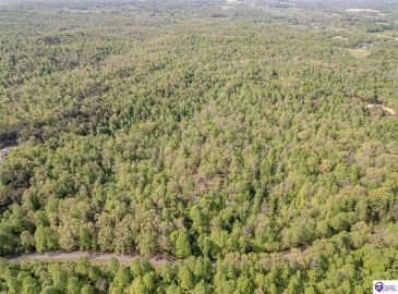 Die Shiboley Church Road, Magnolia, Kentucky 42757, ,For Sale,Die Shiboley Church Road,HK24003015