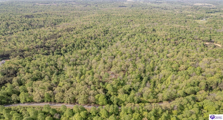 Die Shiboley Church Road, Magnolia, Kentucky 42757, ,For Sale,Die Shiboley Church Road,HK24003015