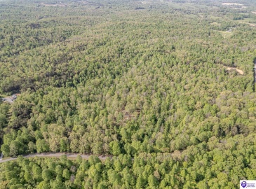 Die Shiboley Church Road, Magnolia, Kentucky 42757, ,For Sale,Die Shiboley Church Road,HK24003015