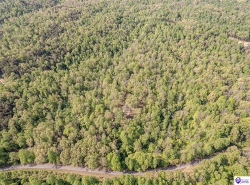 Die Shiboley Church Road, Magnolia, Kentucky 42757, ,For Sale,Die Shiboley Church Road,HK24003015