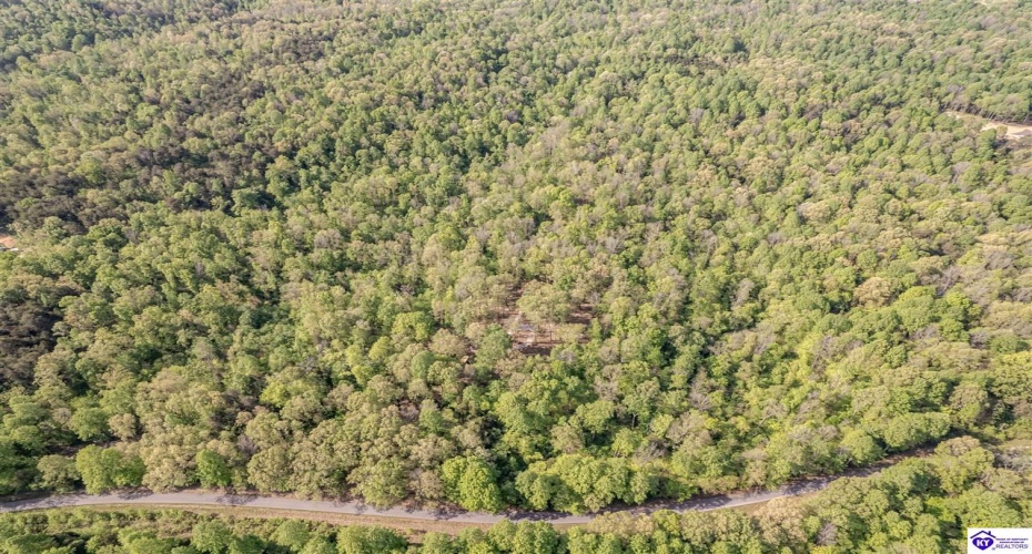 Die Shiboley Church Road, Magnolia, Kentucky 42757, ,For Sale,Die Shiboley Church Road,HK24003015