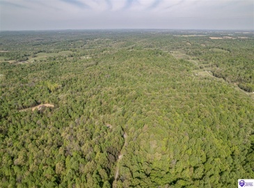 Die Shiboley Church Road, Magnolia, Kentucky 42757, ,For Sale,Die Shiboley Church Road,HK24003015