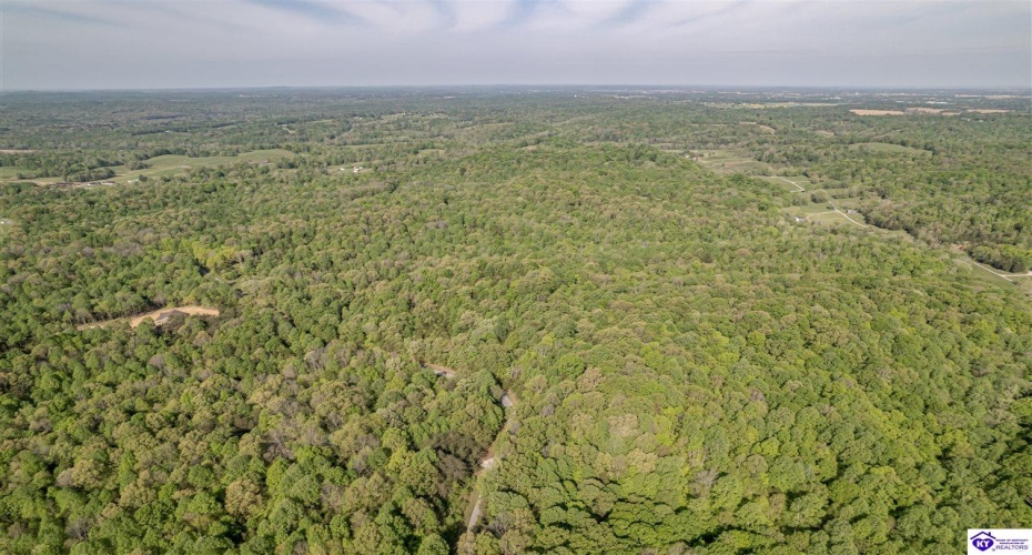 Die Shiboley Church Road, Magnolia, Kentucky 42757, ,For Sale,Die Shiboley Church Road,HK24003015