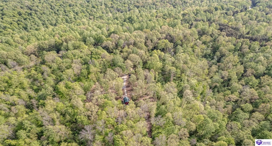 Die Shiboley Church Road, Magnolia, Kentucky 42757, ,For Sale,Die Shiboley Church Road,HK24003015