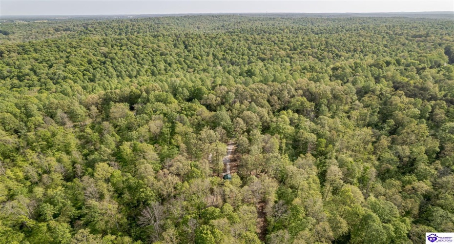 Die Shiboley Church Road, Magnolia, Kentucky 42757, ,For Sale,Die Shiboley Church Road,HK24003015