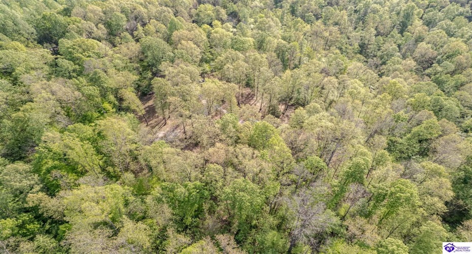 Die Shiboley Church Road, Magnolia, Kentucky 42757, ,For Sale,Die Shiboley Church Road,HK24003015