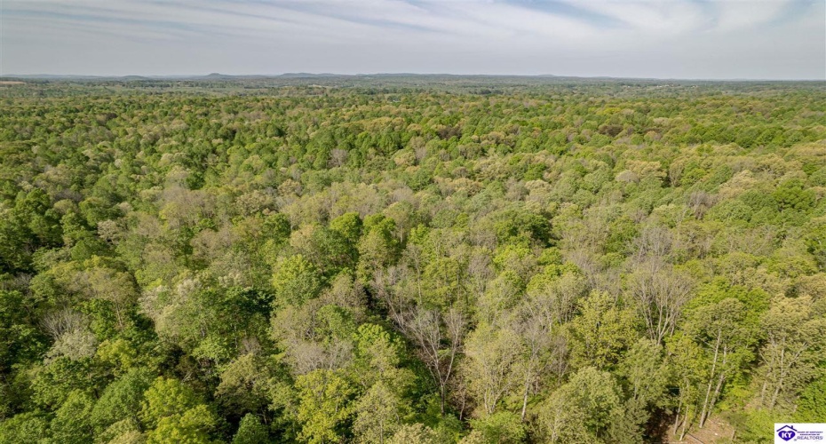 Die Shiboley Church Road, Magnolia, Kentucky 42757, ,For Sale,Die Shiboley Church Road,HK24003015