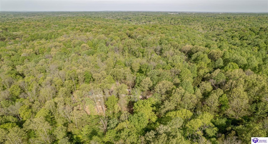 Die Shiboley Church Road, Magnolia, Kentucky 42757, ,For Sale,Die Shiboley Church Road,HK24003015