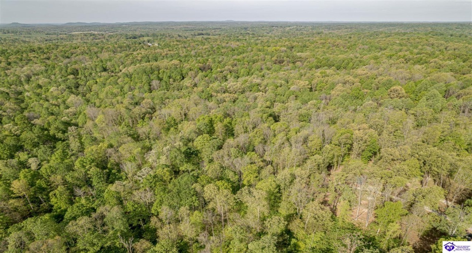 Die Shiboley Church Road, Magnolia, Kentucky 42757, ,For Sale,Die Shiboley Church Road,HK24003015