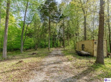 Die Shiboley Church Road, Magnolia, Kentucky 42757, ,For Sale,Die Shiboley Church Road,HK24003015