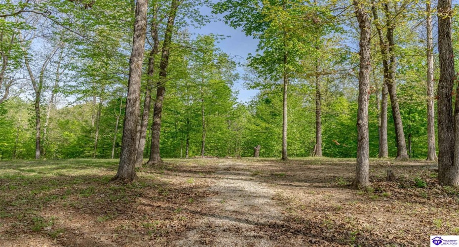 Die Shiboley Church Road, Magnolia, Kentucky 42757, ,For Sale,Die Shiboley Church Road,HK24003015