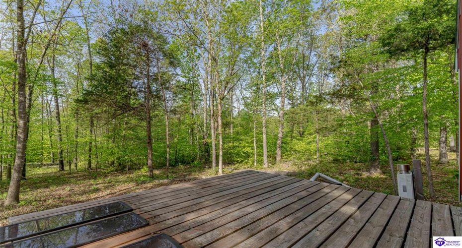 Die Shiboley Church Road, Magnolia, Kentucky 42757, ,For Sale,Die Shiboley Church Road,HK24003015