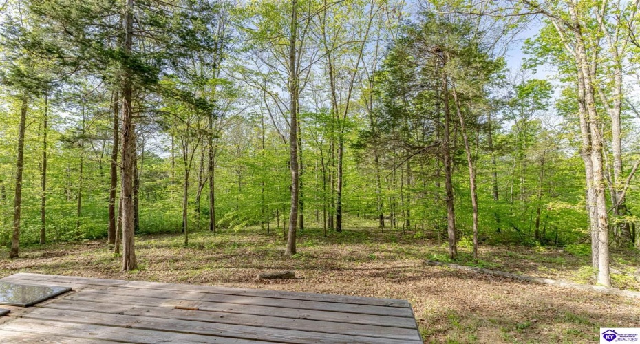 Die Shiboley Church Road, Magnolia, Kentucky 42757, ,For Sale,Die Shiboley Church Road,HK24003015