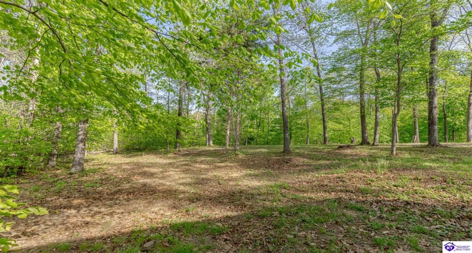 Die Shiboley Church Road, Magnolia, Kentucky 42757, ,For Sale,Die Shiboley Church Road,HK24003015