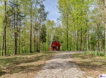 Die Shiboley Church Road, Magnolia, Kentucky 42757, ,For Sale,Die Shiboley Church Road,HK24003015