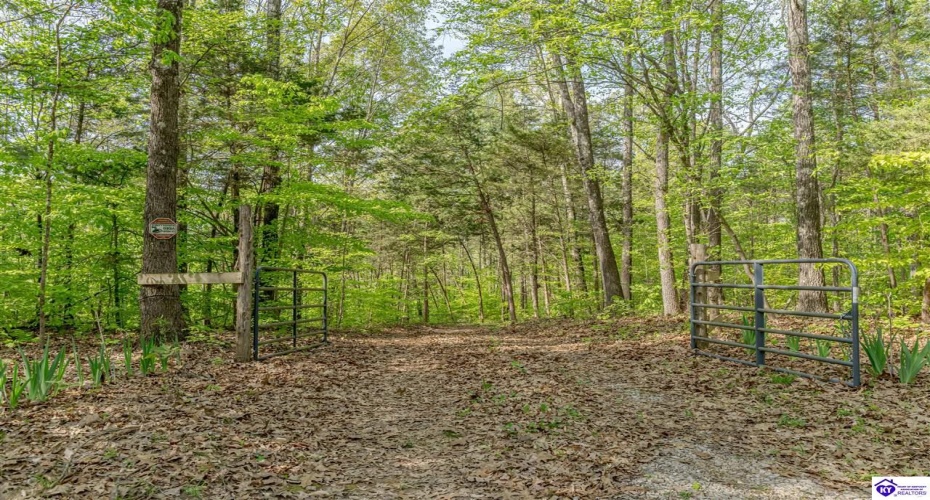 Die Shiboley Church Road, Magnolia, Kentucky 42757, ,For Sale,Die Shiboley Church Road,HK24003015