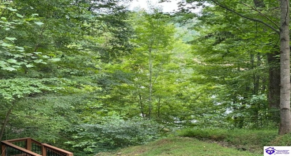 Bentwood Lane, Falls Of Rough, Kentucky 40119, ,2 BathroomsBathrooms,For Sale,Bentwood Lane,HK24003017