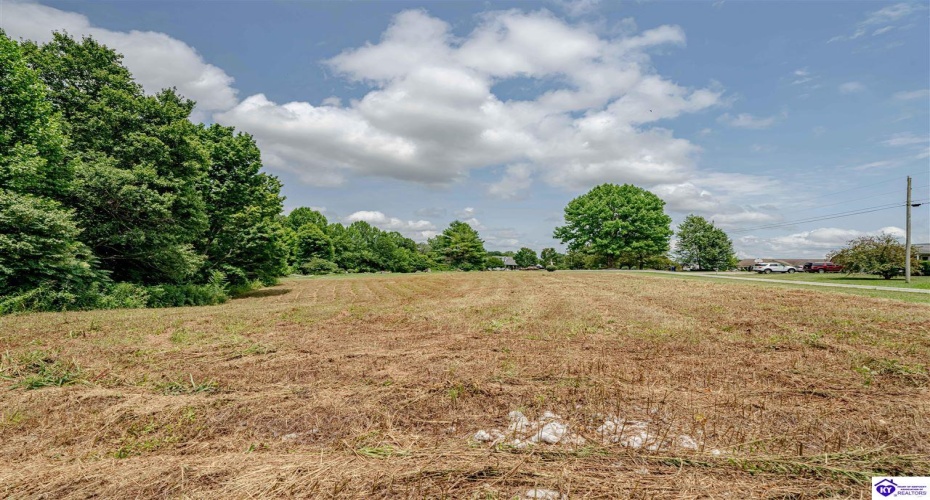 Pembroke Way, Campbellsville, Kentucky 42718, ,For Sale,Pembroke Way,HK24003022