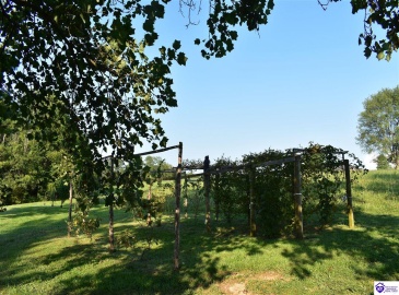 High Grove Road, Bloomfield, Kentucky 40008, ,3 BathroomsBathrooms,For Sale,High Grove Road,HK24003027