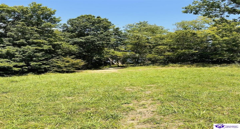 Forest View Ridge, Shelbyville, Kentucky 40065, ,For Sale,Forest View Ridge,HK24003047