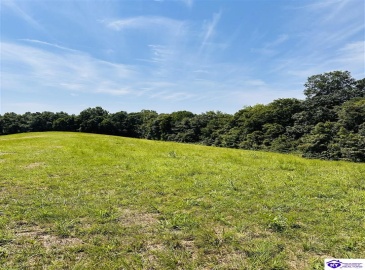 Forest View Ridge, Shelbyville, Kentucky 40065, ,For Sale,Forest View Ridge,HK24003047