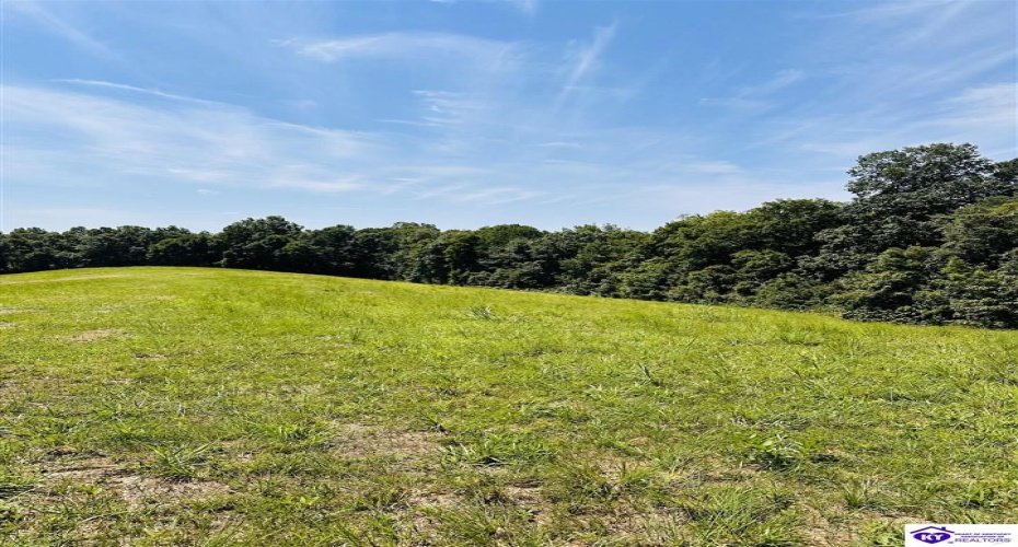 Forest View Ridge, Shelbyville, Kentucky 40065, ,For Sale,Forest View Ridge,HK24003047