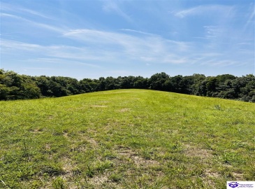 Forest View Ridge, Shelbyville, Kentucky 40065, ,For Sale,Forest View Ridge,HK24003047