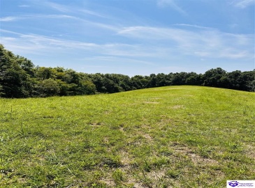 Forest View Ridge, Shelbyville, Kentucky 40065, ,For Sale,Forest View Ridge,HK24003047