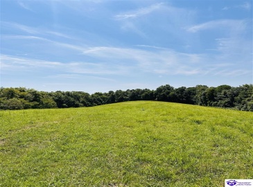 Forest View Ridge, Shelbyville, Kentucky 40065, ,For Sale,Forest View Ridge,HK24003047