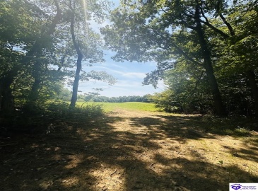 Forest View Ridge, Shelbyville, Kentucky 40065, ,For Sale,Forest View Ridge,HK24003047