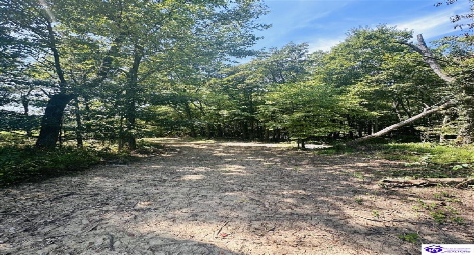 Forest View Ridge, Shelbyville, Kentucky 40065, ,For Sale,Forest View Ridge,HK24003047