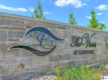 Forest View Ridge, Shelbyville, Kentucky 40065, ,For Sale,Forest View Ridge,HK24003047