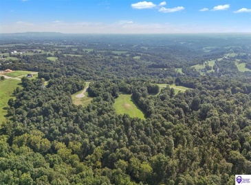 Forest View Ridge, Shelbyville, Kentucky 40065, ,For Sale,Forest View Ridge,HK24003047
