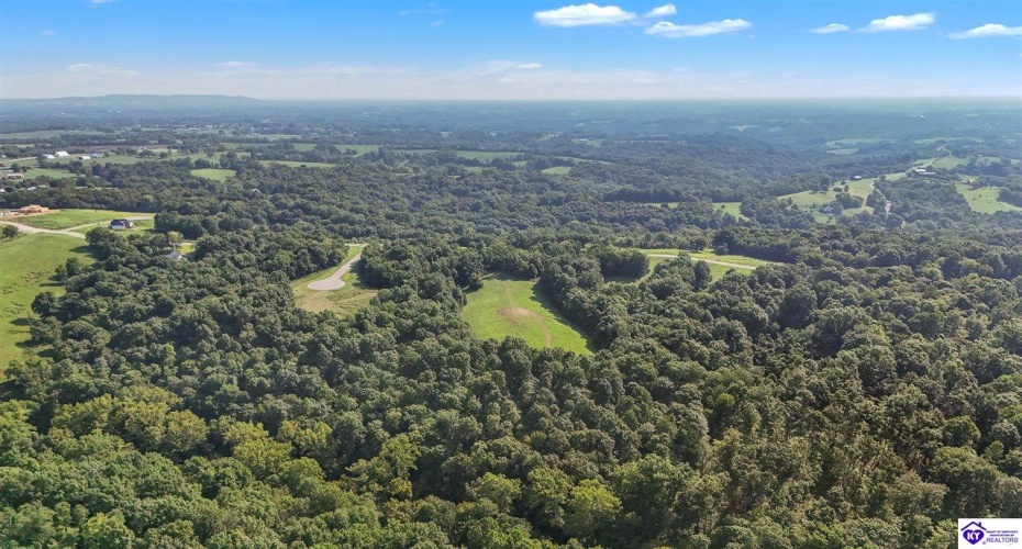 Forest View Ridge, Shelbyville, Kentucky 40065, ,For Sale,Forest View Ridge,HK24003047