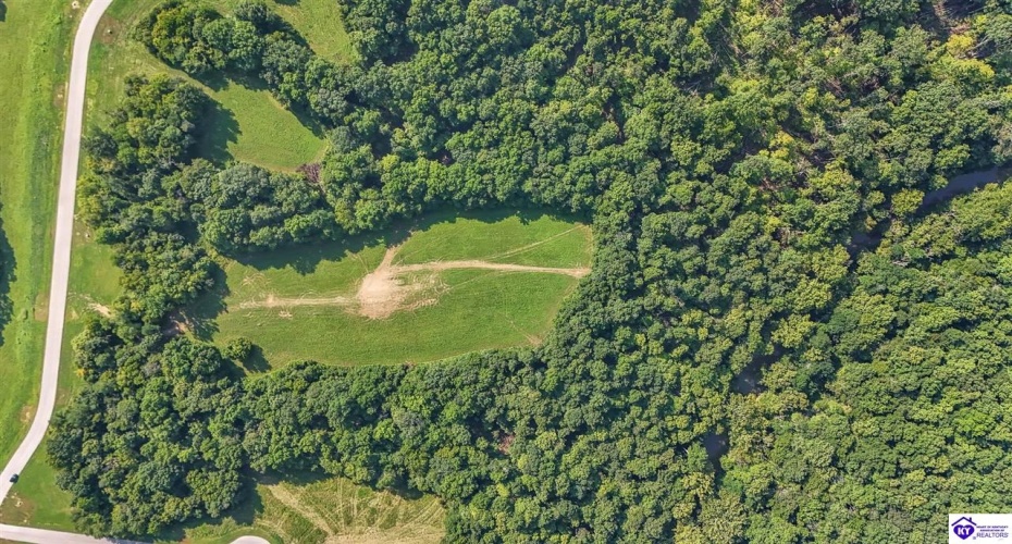 Forest View Ridge, Shelbyville, Kentucky 40065, ,For Sale,Forest View Ridge,HK24003047