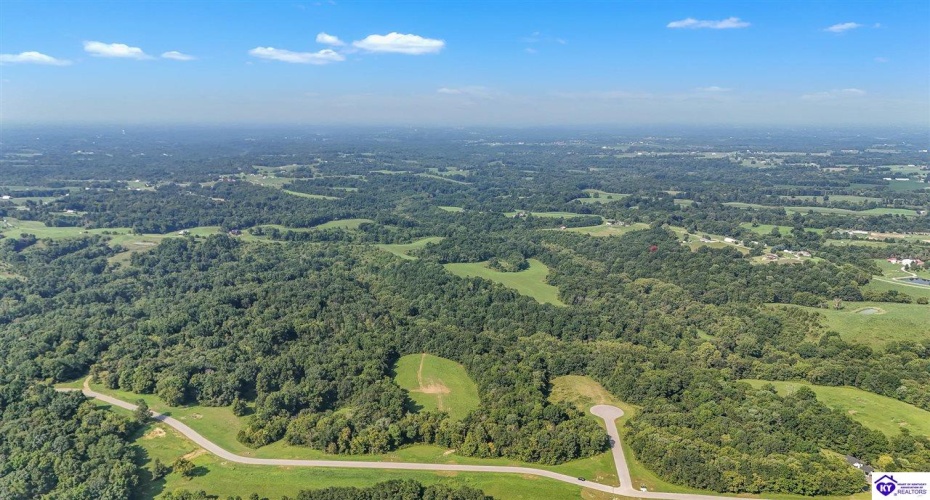Forest View Ridge, Shelbyville, Kentucky 40065, ,For Sale,Forest View Ridge,HK24003047