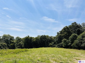 Forest View Ridge, Shelbyville, Kentucky 40065, ,For Sale,Forest View Ridge,HK24003047