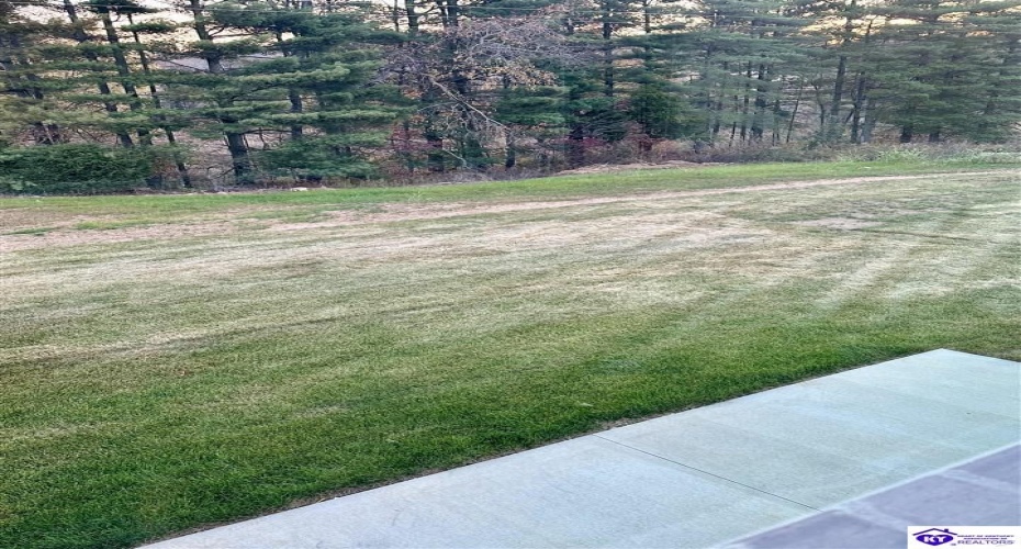 Dixon Circle, Vine Grove, Kentucky 40175, ,3 BathroomsBathrooms,For Sale,Dixon Circle,HK24003071