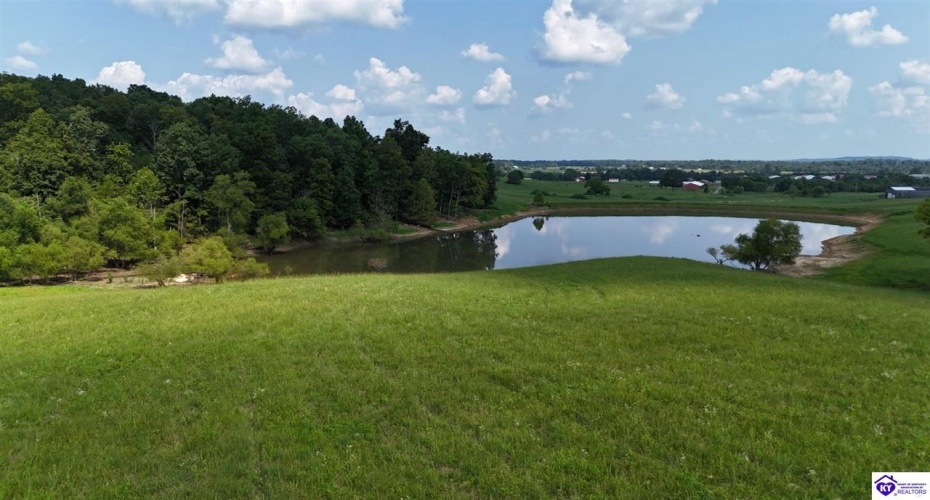 Troutman Lane, Clarkson, Kentucky 42726-9999, ,For Sale,Troutman Lane,HK24003079 Troutman Lane, Clarkson, Kentucky 42726-9999, ,For Sale,Troutman Lane,HK24003079